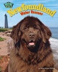 Cover: Newfoundland - Bearport Books
