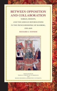 Enlarge image Cover: Between Opposition and Collaboration - Brill