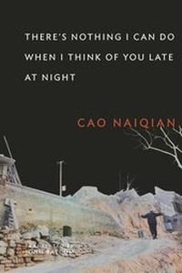 Abbildung von: There's Nothing I Can Do When I Think of You Late at Night - Columbia University Press