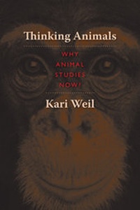Enlarge image Cover: Thinking Animals - Columbia University Press