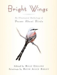 Enlarge image Cover: Bright Wings - Columbia University Press