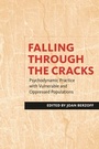 Cover: Falling Through the Cracks - Columbia University Press
