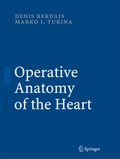 Bild: Operative Anatomy of the Heart - Springer
