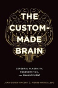 Cover: The Custom-Made Brain - Columbia University Press
