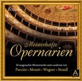 Cover: Meisterhafte Opernarien - audio media verlag