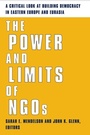 Cover: The Power and Limits of NGOs - De Gruyter