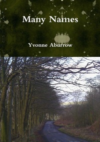 Enlarge image Cover: Many Names - Lulu.com