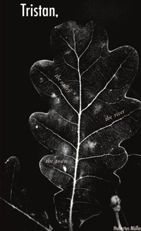 Abbildung von: Tristan, - Lulu.com