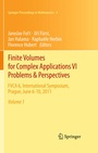 Cover: Finite Volumes for Complex Applications VI Problems & Perspectives - Springer