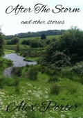 Cover: After The Storm and Other Stories - Lulu.com