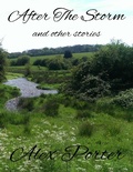 Cover: After the Storm and Other Stories - Lulu.com