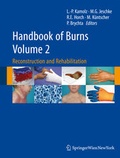 Cover: Handbook of Burns Volume 2 - Springer