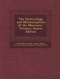 Bild: Embryology and Metamorphosis of the Macroura - Nabu Press