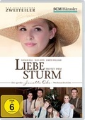 Cover: Liebe trotzt dem Sturm - H&auml;nssler