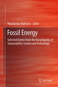 Cover: Fossil Energy - Springer