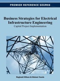 Cover: Business Strategies for Electrical Infrastructure Engineering - Idea Group,U.S.
