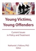 Cover: Young Victims, Young Offenders - Routledge