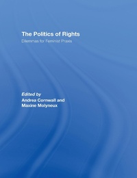 Enlarge image Cover: The Politics of Rights - Routledge