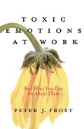 Cover: Toxic Emotions at Work and What You Can Do About Them - Harvard Business Review Press