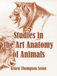 Abbildung von: Studies in the Art Anatomy of Animals - Fredonia Books (NL)