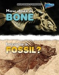 Cover: How Does a Bone Become a Fossil? - Raintree Publishers