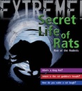 Cover: Extreme Science: The Secret Life of Rats - A & C Black Publishers Ltd