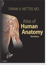 Bild: Atlas of Human Anatomy: WITH netteranatomy.com - Saunders