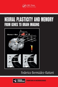 Abbildung von: Neural Plasticity and Memory - CRC Press