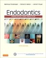 Cover: Endodontics - Saunders