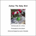 Cover: Joshua the Baby Bird - Trafford Publishing