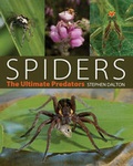Cover: Spiders - A & C Black Publishers Ltd