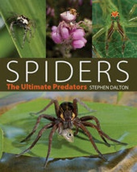 Enlarge image Cover: Spiders - A & C Black Publishers Ltd