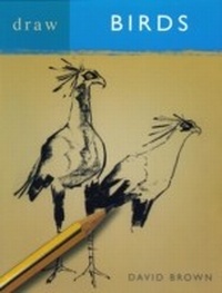 Abbildung von: Draw Birds - A & C Black Visual Arts