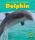 Cover: Dolphin - Raintree Publishers
