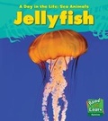 Cover: Jellyfish - Raintree Publishers