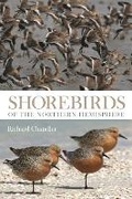 Cover: Shorebirds of the Northern Hemisphere - Helm