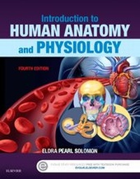 Enlarge image Cover: Introduction to Human Anatomy and Physiology - Saunders