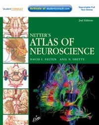 Enlarge image Cover: Netter's Atlas of Neuroscience - Saunders