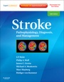Cover: Stroke - Saunders