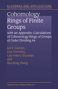 Abbildung von: Cohomology Rings of Finite Groups - Springer