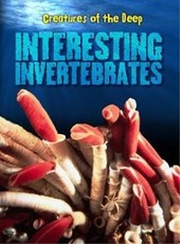 Enlarge image Cover: Interesting Invertebrates - Raintree Publishers