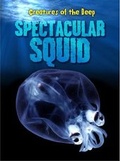 Cover: Spectacular Squid - Raintree Publishers