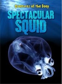 Enlarge image Cover: Spectacular Squid - Raintree Publishers