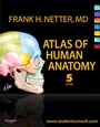 Bild: Atlas of Human Anatomy - Saunders