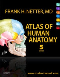 Bild vergrößern Bild: Atlas of Human Anatomy - Saunders