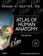 Bild: Atlas of Human Anatomy - Saunders