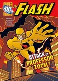 Cover: DC Super Heroes: The Flash - Raintree