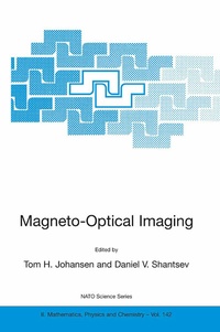 Abbildung von: Magneto-Optical Imaging - Springer