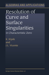 Abbildung von: Resolution of Curve and Surface Singularities in Characteristic Zero - Springer