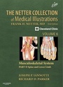 Cover: The Netter Collection of Medical Illustrations: Musculoskeletal System, Volume 6, Part II - Spine and Lower Limb - Saunders